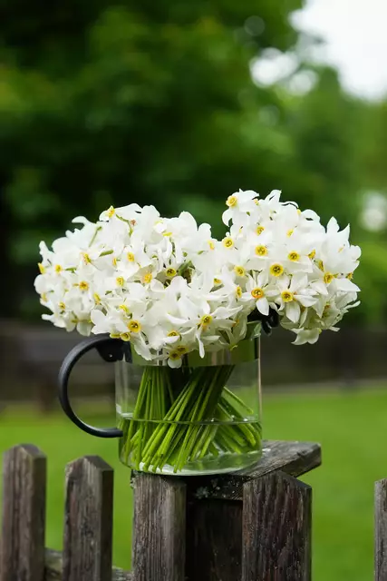 Foto: Stefan Schubert