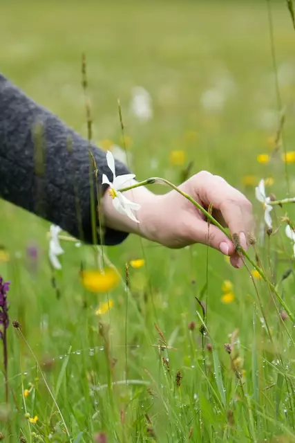 Foto: Stefan Schubert