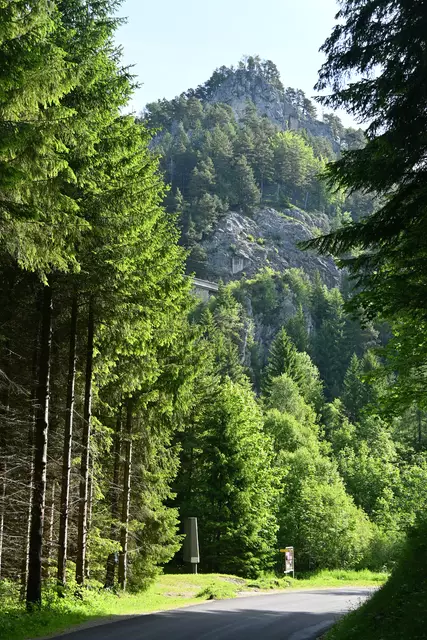 Weiter auf der Straße