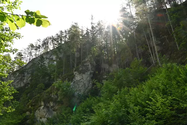 Sonnenstrahlen dringen in die Schlucht