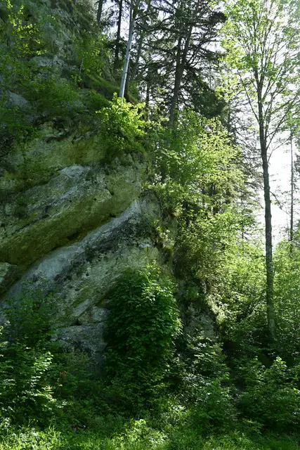 Felswände links und rechts der Straße