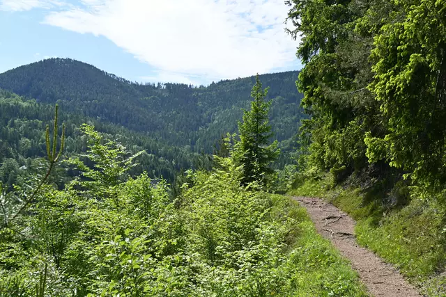 Der Weg weiter auf den Semmering, ich drehe da aber um...