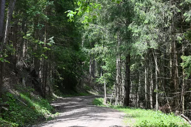 Es wird gewittrig und ich drehe um