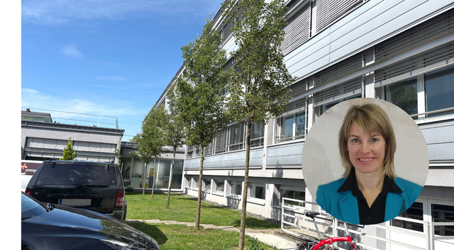 Insgesamt wurden 15 Zierbirnen entlang der Gebäudefront gepflanzt. | Foto: MeinBezirk / FBS