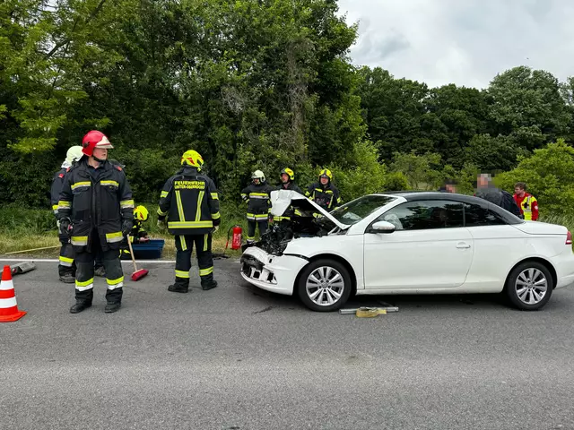 Feuerwehr Unter-Oberndorf im Einsatz | Foto: DOKU-NÖ