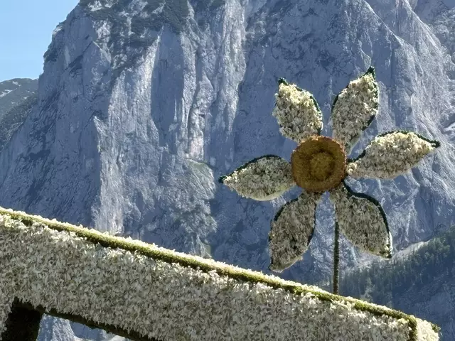 Foto: Waltraud Fischer