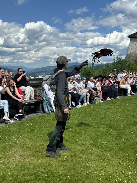 Die Greifvögel auf Burg Oberkapfenberg begeisterten die Gäste.