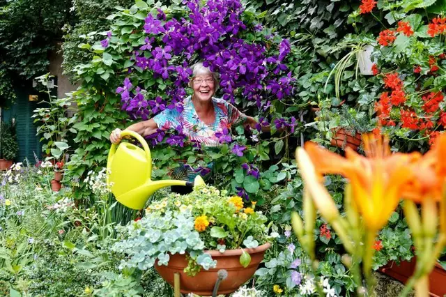 Die Innenhöfe können oft nur so von Leben blühen.  | Foto: Schedl