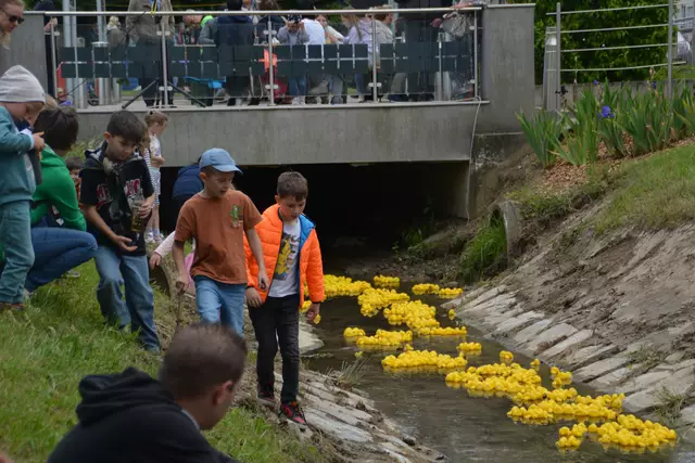 Foto: Jennifer Flechl