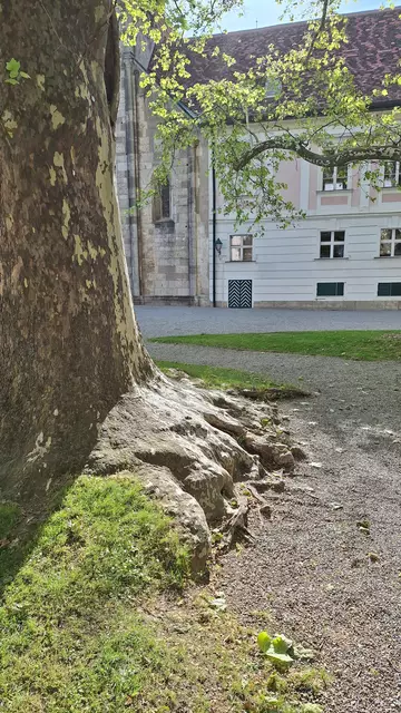 Foto: (c) Bundesgymnasium Babenbergerring