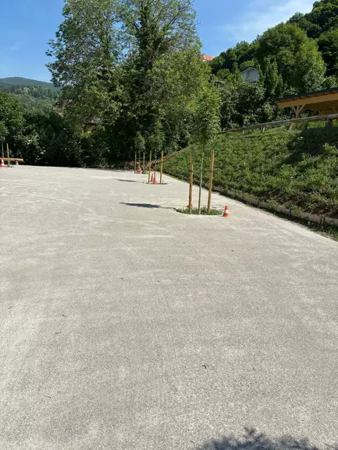 Durch das Schwammstadtprinzip können haben die Wurzeln der Bäume unter der Oberfläche genügend Platz und können auch lange Hitzeperiode überstehen. | Foto: MeinBezirk