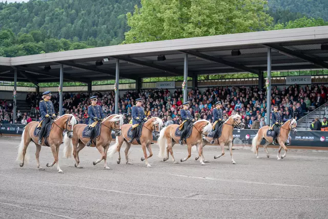 Die internationale Haflinger Show wurde besonders gut angenommen.  | Foto: Fohlenhof Ebbs