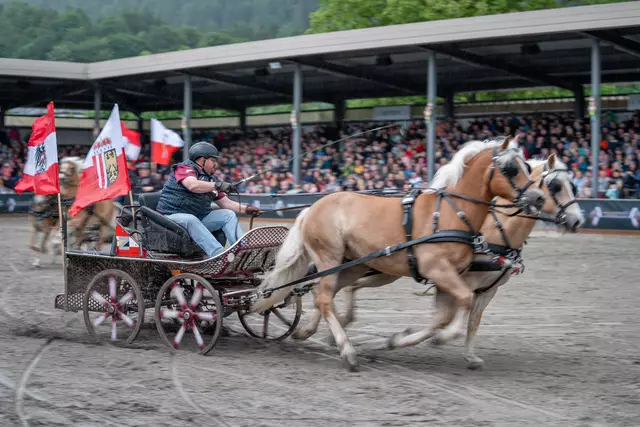 Foto: Fohlenhof Ebbs