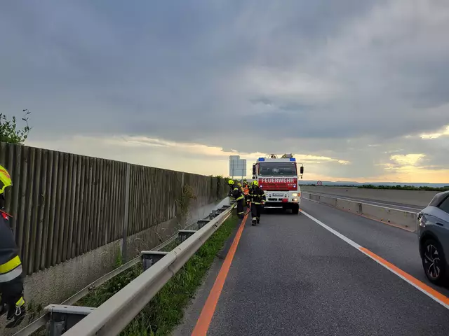 Foto: FF Grafenwörth/Ploiner