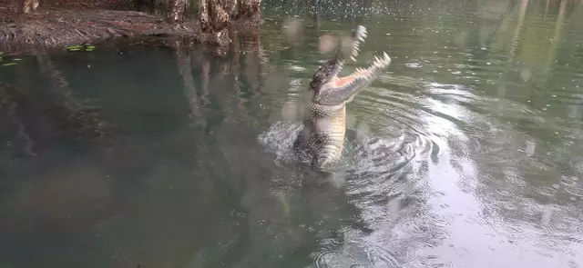 Günter Jammerbund on Tour. | Foto: privat