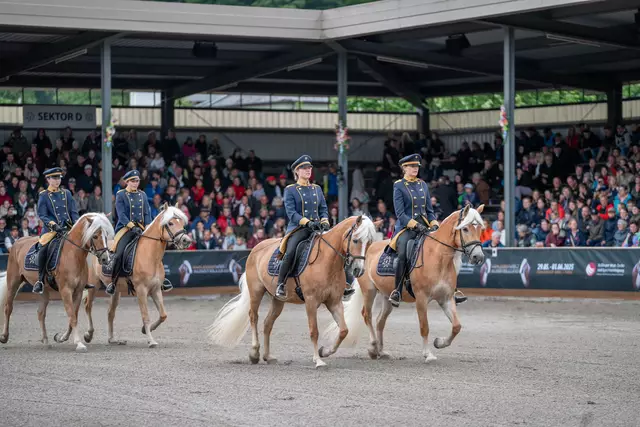 Über 20.000 Besucher verzeichnete die 7. Haflinger Weltausstellung am Fohlenhof Ebbs.  | Foto: Fohlenhof Ebbs