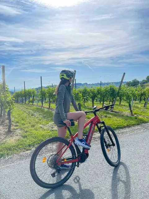 E-Bike entlang der Weinreben | Foto: Michaela Pretzl