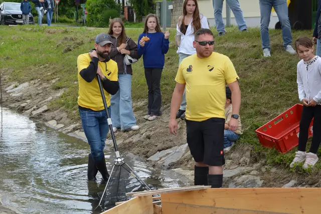 Spannendes Warten darauf, welche Ente die Ziellinie wohl als erstes passiert. | Foto: Jennifer Flechl