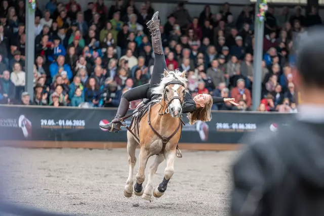 Geboten wurde auch ein besonderes Showprogramm.  | Foto: Fohlenhof Ebbs