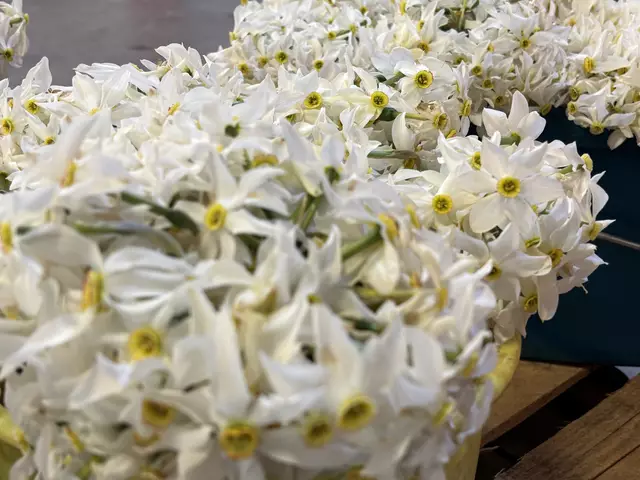 Foto: Waltraud Fischer