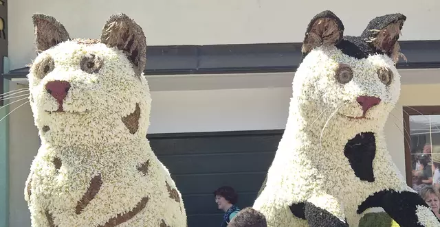 Foto: Waltraud Fischer