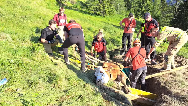 Mit vereinten Kräften wurde das Tier gerettet. | Foto: Feuerwehr Kitzbühel
