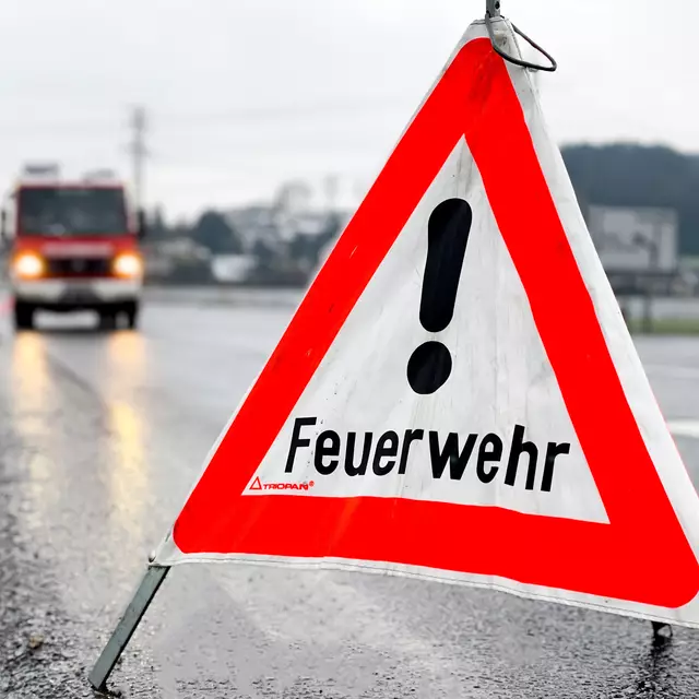 Fast 14.000 Einsatzstunden wurden im Vorjahr geleistet.
 | Foto: Symbolbild/TEAM FOTOKERSCHI.AT / KERSCHBAUMMAYR