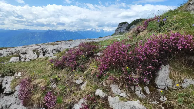 Immer wieder zieht es den Blick Richtung Dachstein... | Foto: I.Wozonig 