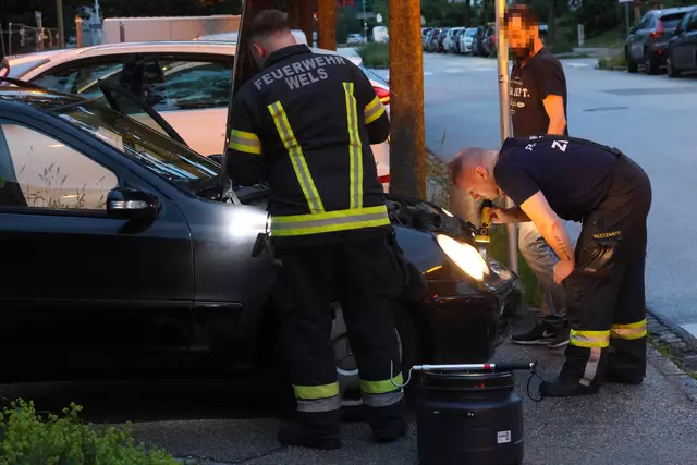 Für einen Schrecken beim Lenker eines Mercedes dürfte eine Schlange in Wels-Neustadt gesorgt haben, die sich während der Fahrt bemerkbar machte. | Foto: laumat.at