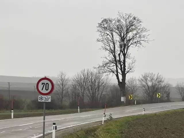 In dieser Kurve geschah am 13. Oktober 2024 ein tödlicher Verkehrsunfall. | Foto: Alexandra Goll