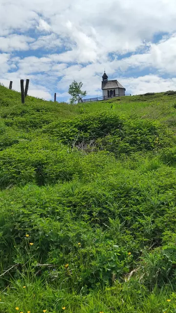 ...und schnauft jetzt aus dem Graben über einen Wiesenweg wieder hinauf... | Foto: I.Wozonig