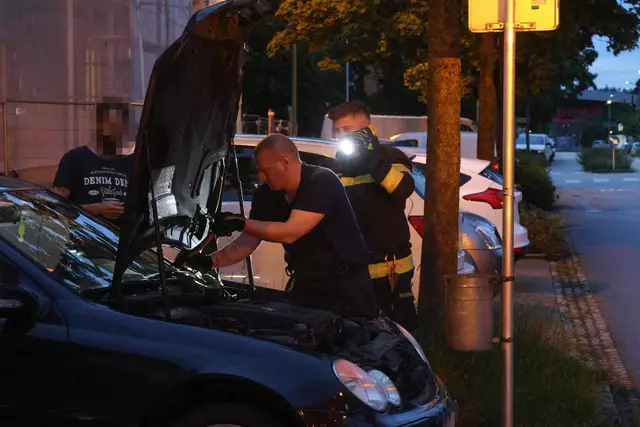 Für einen Schrecken beim Lenker eines Mercedes dürfte eine Schlange in Wels-Neustadt gesorgt haben, die sich während der Fahrt bemerkbar machte. | Foto: laumat.at