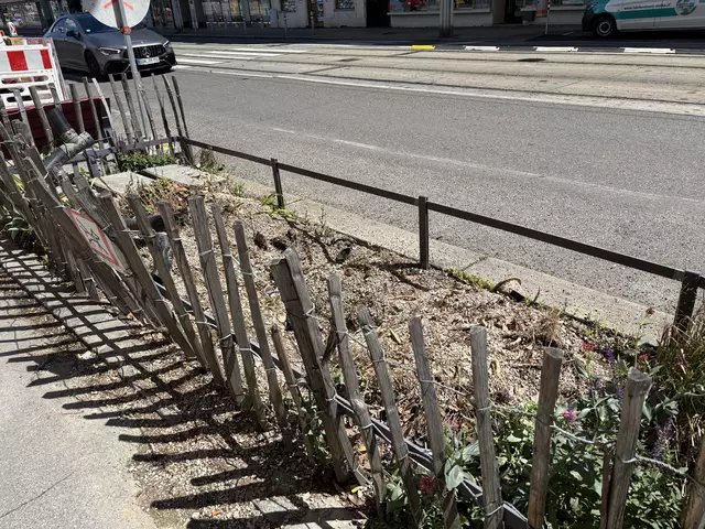 Insgesamt elf Bäume mussten dem Radweg weichen. | Foto: Fabian Franz/MeinBezirk