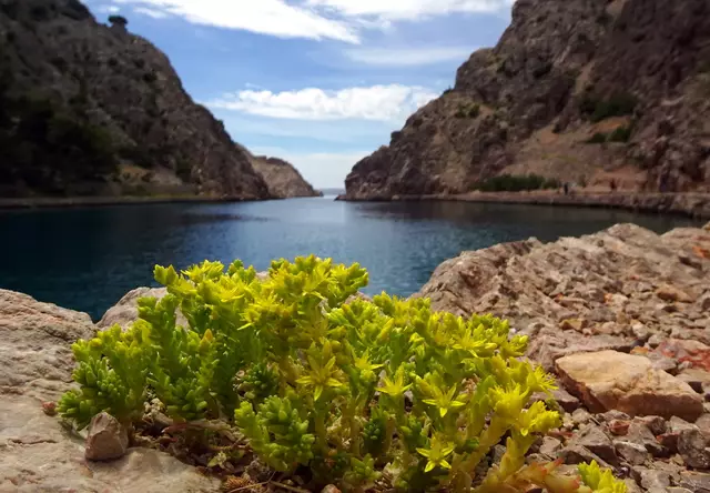 In einer abgelegenen Bucht