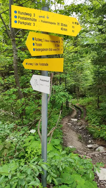 Jetzt kann man über die Forststraße oder durch den Wald hinunter gehen... | Foto: I.Wozonig 