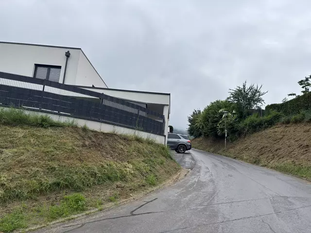 Nicht nur die Anwohnerfamilien sind durch Raser in Gefahr, auch für Haustiere kommt es regelmäßig zu lebensgefährlichen Situtationen. | Foto: MeinBezirk