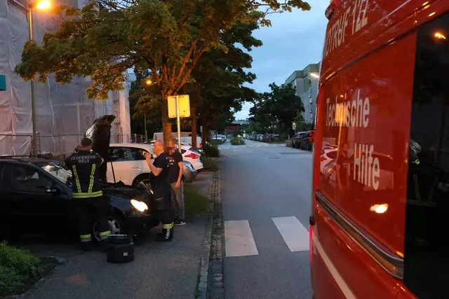 Für einen Schrecken beim Lenker eines Mercedes dürfte eine Schlange in Wels-Neustadt gesorgt haben, die sich während der Fahrt bemerkbar machte. | Foto: laumat.at