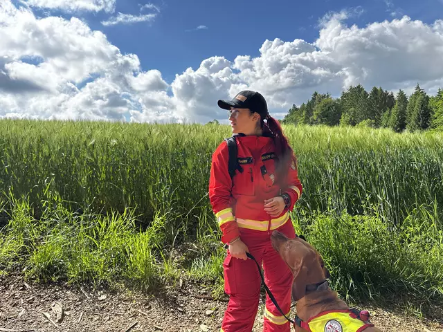 Die Österreichische Rettungshundebrigade (ÖRHB) führte Ende Mai eine große Landesübung mit allen zehn Staffeln, 70 Mitgliedern und 55 Hunden in Maria Schmolln durch. | Foto: ÖRHB OÖ