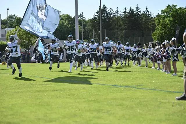 Auch beim Rückspiel zeigen die Welser Huskies den Steelsharks in Traun, wer das größere Football-Raubtier ist. | Foto: Huskies Wels/Straub