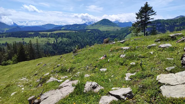 Auch der Blick Richtung Tennengebirge ist sehr eindrucksvoll... | Foto: I.Wozonig 