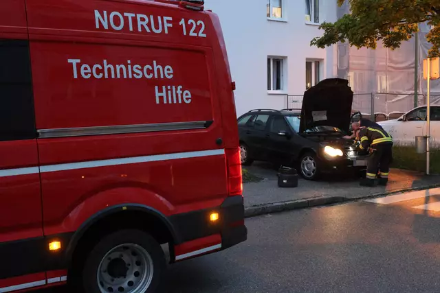 Für einen Schrecken beim Lenker eines Mercedes dürfte eine Schlange in Wels-Neustadt gesorgt haben, die sich während der Fahrt bemerkbar machte. | Foto: laumat.at