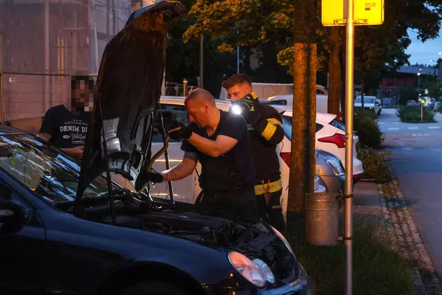 Für einen Schrecken beim Lenker eines Mercedes dürfte eine Schlange in Wels-Neustadt gesorgt haben, die sich während der Fahrt bemerkbar machte. | Foto: laumat.at