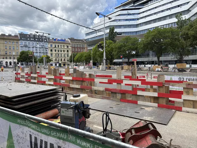 Insgesamt sollen rund um den Tandler-Platz aber 65 Bäume entstehen. | Foto: Fabian Franz/MeinBezirk
