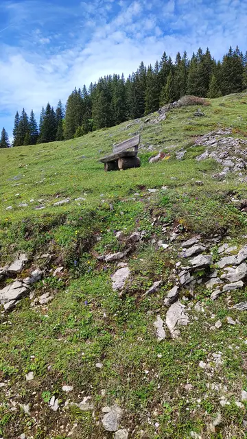 Bankerl laden ein Platz zu nehmen... | Foto: I.Wozonig 