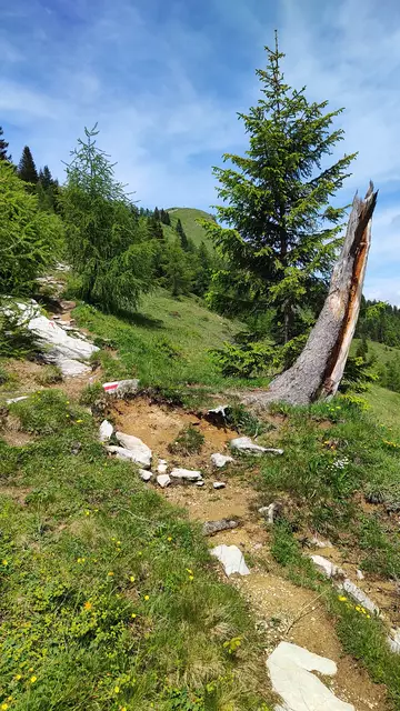 Der Weg wird immer steiler... | Foto: I.Wozonig