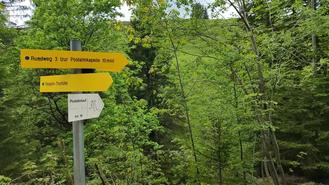 Nach einiger Zeit zweigt der Weg von der Straße in den Wald ab... | Foto: I.Wozonig 