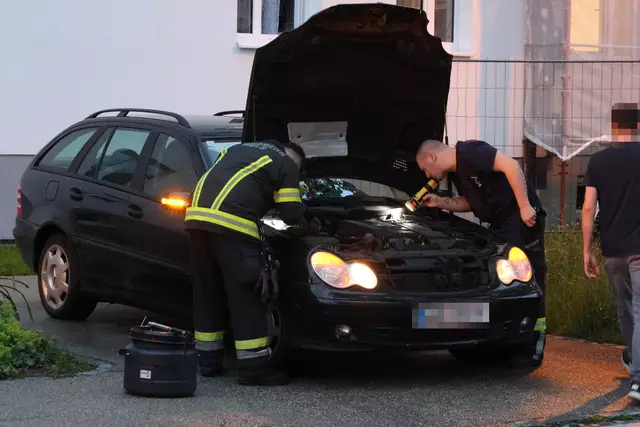 Für einen Schrecken beim Lenker eines Mercedes dürfte eine Schlange in Wels-Neustadt gesorgt haben, die sich während der Fahrt bemerkbar machte. | Foto: laumat.at