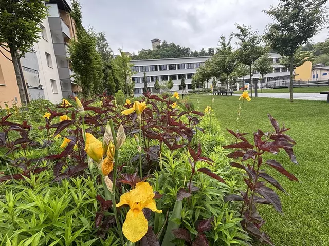 Von April bis in den späten Herbst erblüht der Stadtpark. Derzeit präsentieren sich Schwertlilien in verschiedenen Farben, bevor die Rosenblüten aufgehen. | Foto: MeinBezirk