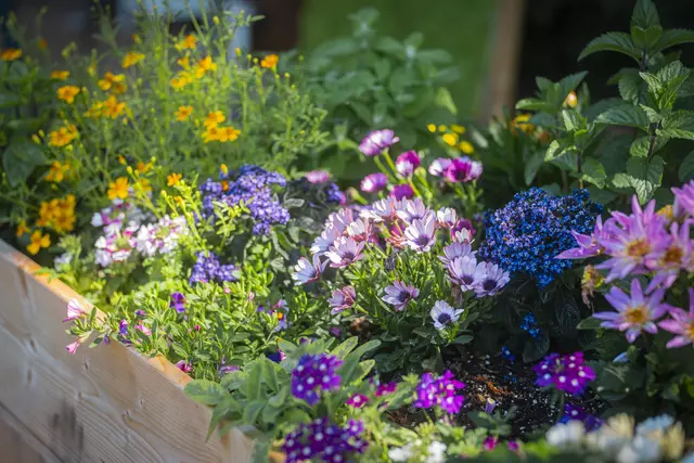 Foto: OÖ Landesgartenschau Schärding