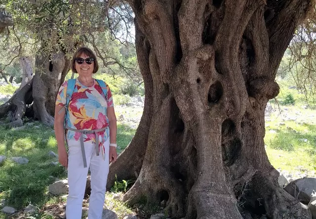 Gigi im wild gewachsenen Olivenhain, einem botanischen Schutzgebiet